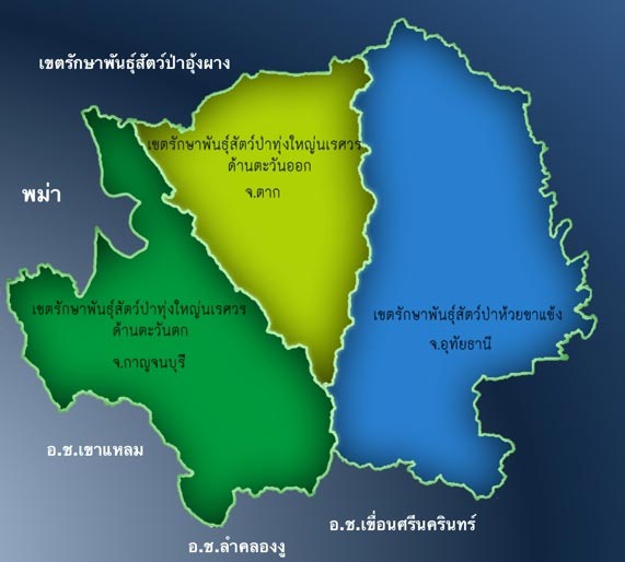 ทุ่งใหญ่นเรศวร ทุ่งใหญ่นเรศวร