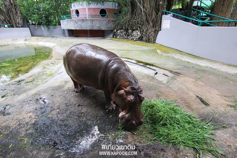 แม่มะลิ เขาดิน แม่มะลิ เขาดิน