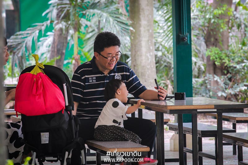 เที่ยวเขาดิน เที่ยวเขาดิน