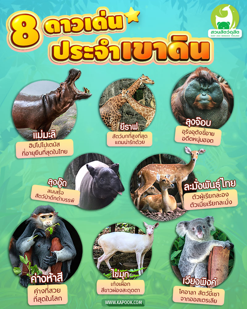 เที่ยวเขาดิน เที่ยวเขาดิน