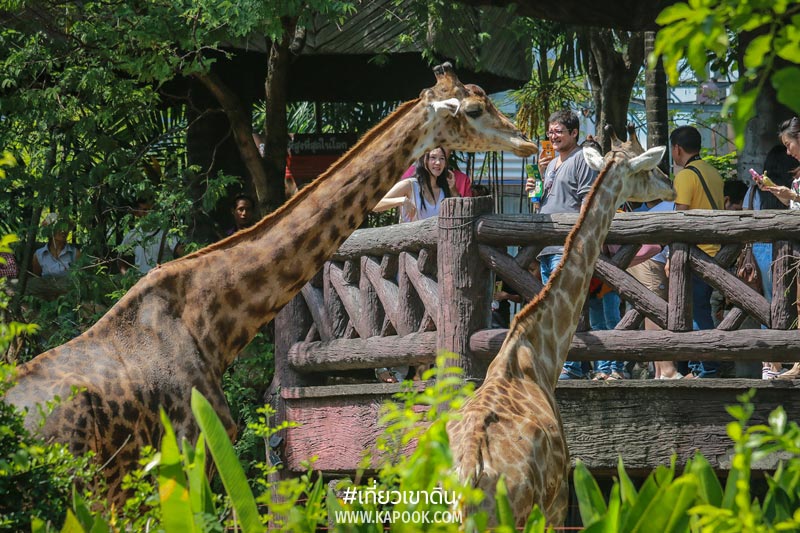 เที่ยวเขาดิน เที่ยวเขาดิน