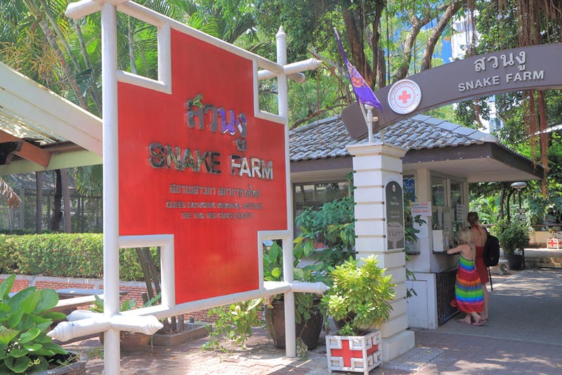 พาลูกเที่ยว พาลูกเที่ยว