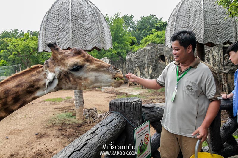 พนักงานดูแลสัตว์ เขาดิน พนักงานดูแลสัตว์ เขาดิน