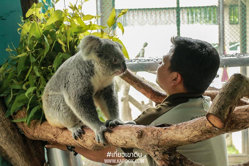 พนักงานดูแลสัตว์ เขาดิน พนักงานดูแลสัตว์ เขาดิน