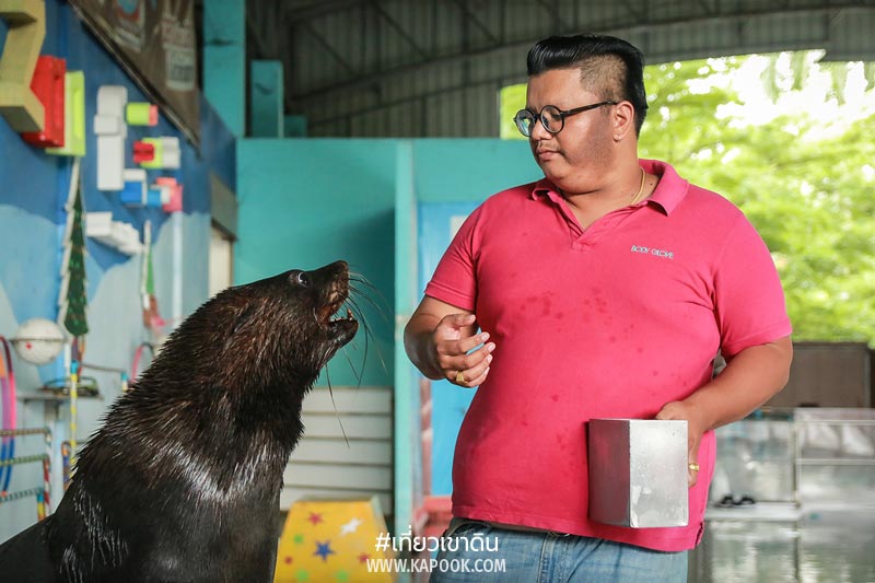 พนักงานดูแลสัตว์ เขาดิน พนักงานดูแลสัตว์ เขาดิน