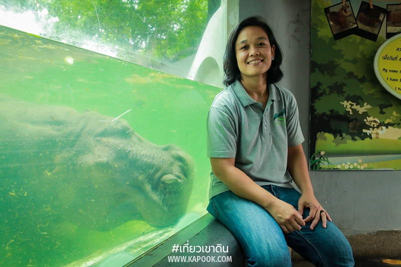 แม่มะลิ ฮิปโปโปเตมัส แม่มะลิ ฮิปโปโปเตมัส