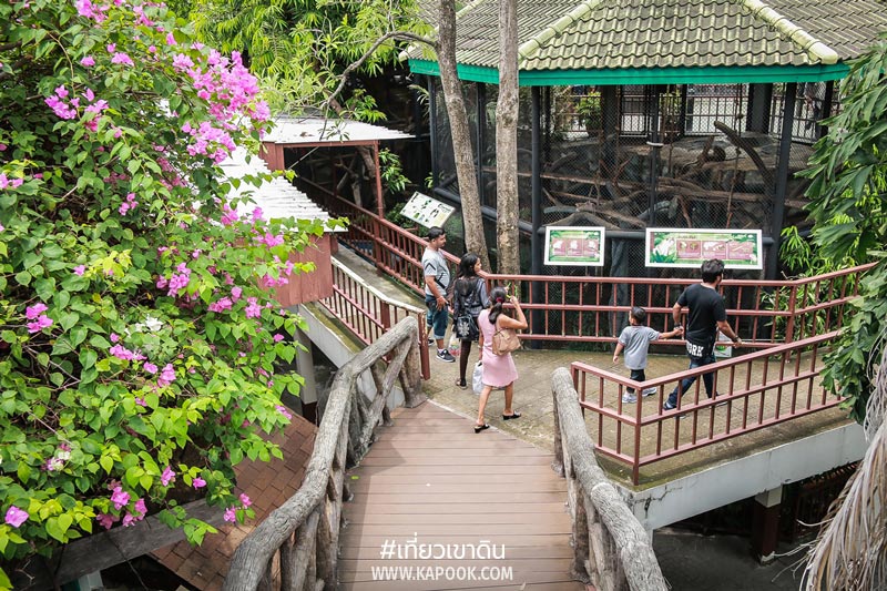 เที่ยวเขาดิน เที่ยวเขาดิน