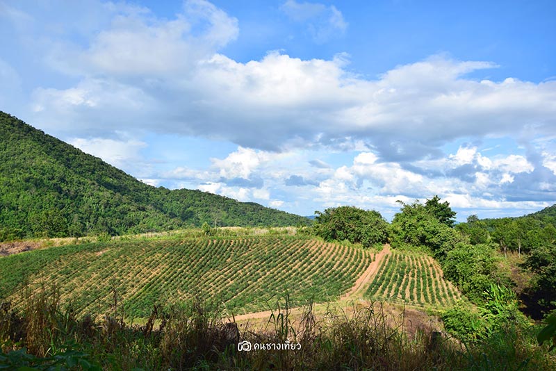 ยอดเขาเทวดา จังหวัดสุพรรณบุรี ยอดเขาเทวดา จังหวัดสุพรรณบุรี