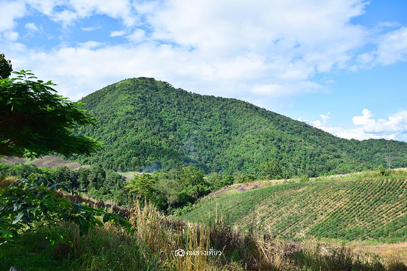 ยอดเขาเทวดา จังหวัดสุพรรณบุรี ยอดเขาเทวดา จังหวัดสุพรรณบุรี