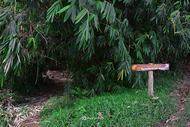 ยอดเขาเทวดา จังหวัดสุพรรณบุรี ยอดเขาเทวดา จังหวัดสุพรรณบุรี
