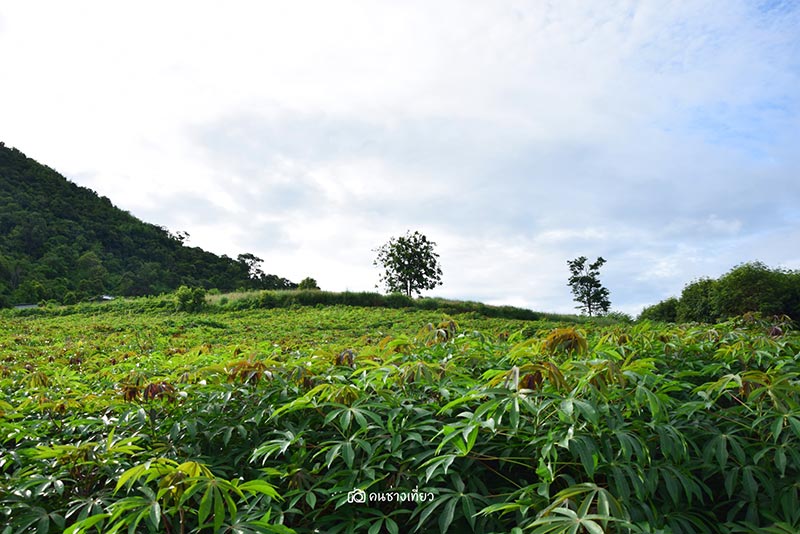 ยอดเขาเทวดา จังหวัดสุพรรณบุรี ยอดเขาเทวดา จังหวัดสุพรรณบุรี