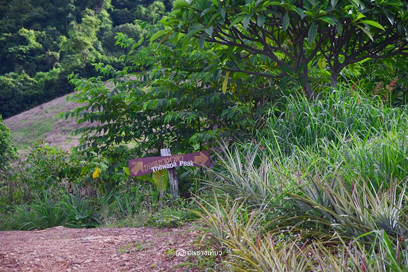 ยอดเขาเทวดา จังหวัดสุพรรณบุรี ยอดเขาเทวดา จังหวัดสุพรรณบุรี