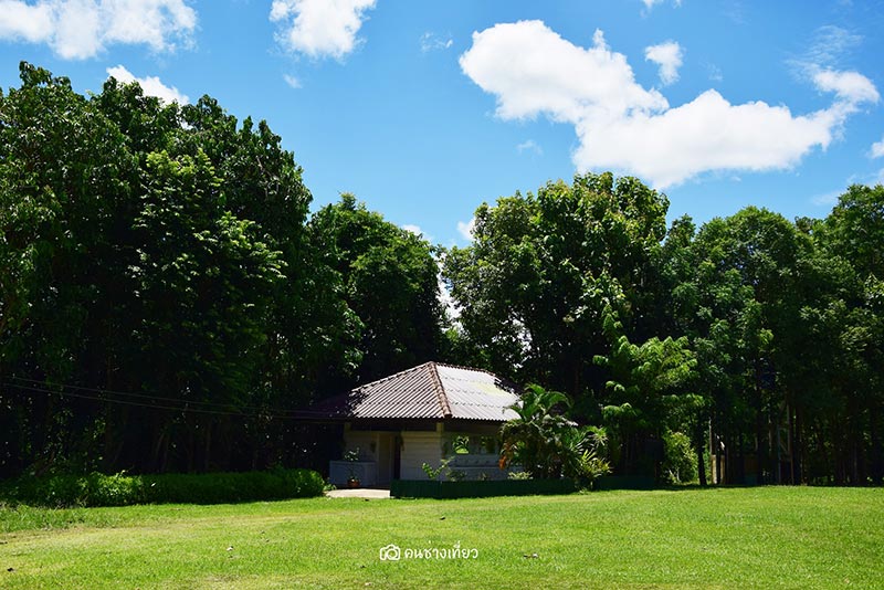 ยอดเขาเทวดา จังหวัดสุพรรณบุรี ยอดเขาเทวดา จังหวัดสุพรรณบุรี