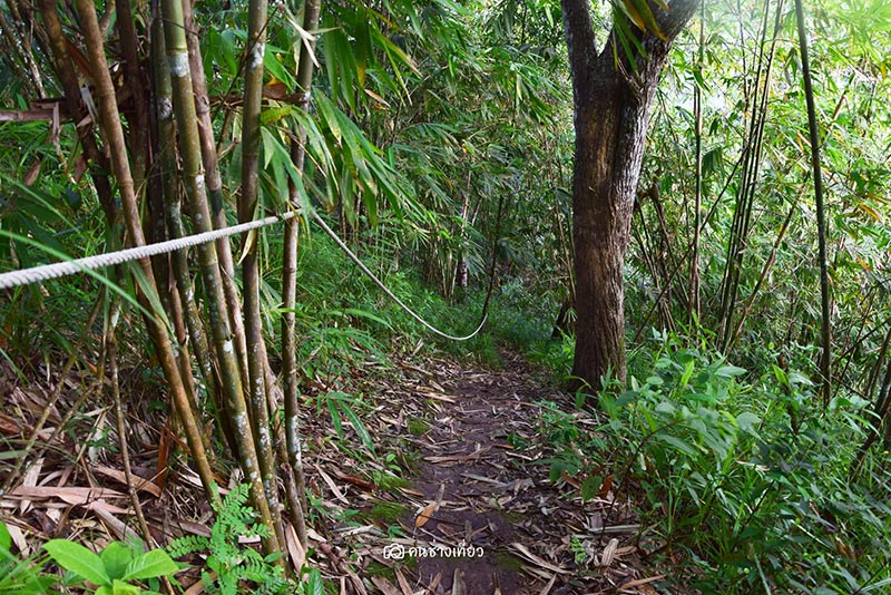 ยอดเขาเทวดา จังหวัดสุพรรณบุรี ยอดเขาเทวดา จังหวัดสุพรรณบุรี