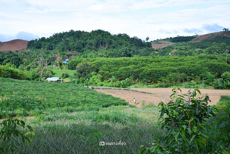 ยอดเขาเทวดา จังหวัดสุพรรณบุรี ยอดเขาเทวดา จังหวัดสุพรรณบุรี