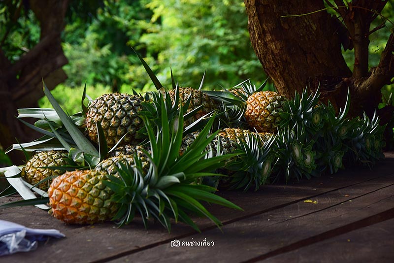 ยอดเขาเทวดา จังหวัดสุพรรณบุรี ยอดเขาเทวดา จังหวัดสุพรรณบุรี
