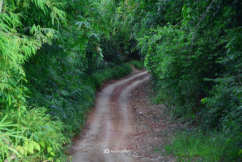 ยอดเขาเทวดา จังหวัดสุพรรณบุรี ยอดเขาเทวดา จังหวัดสุพรรณบุรี