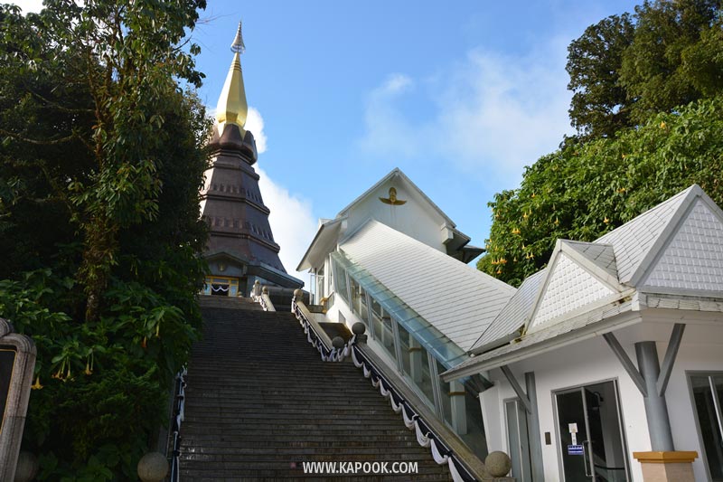 ดอยอินทนนท์ ดอยอินทนนท์