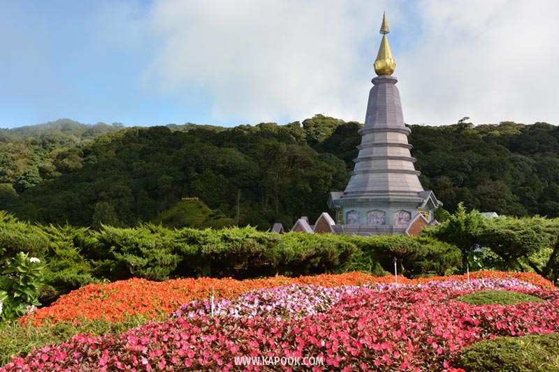 ดอยอินทนนท์ ดอยอินทนนท์