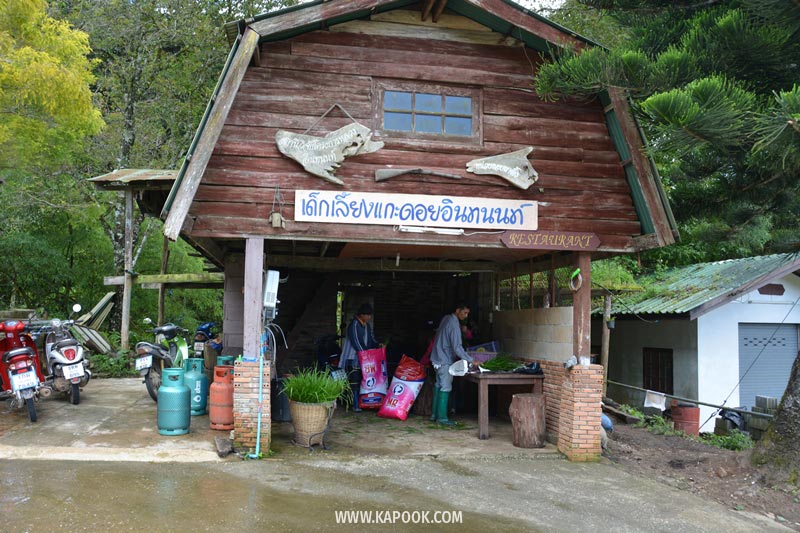 ดอยอินทนนท์ ดอยอินทนนท์