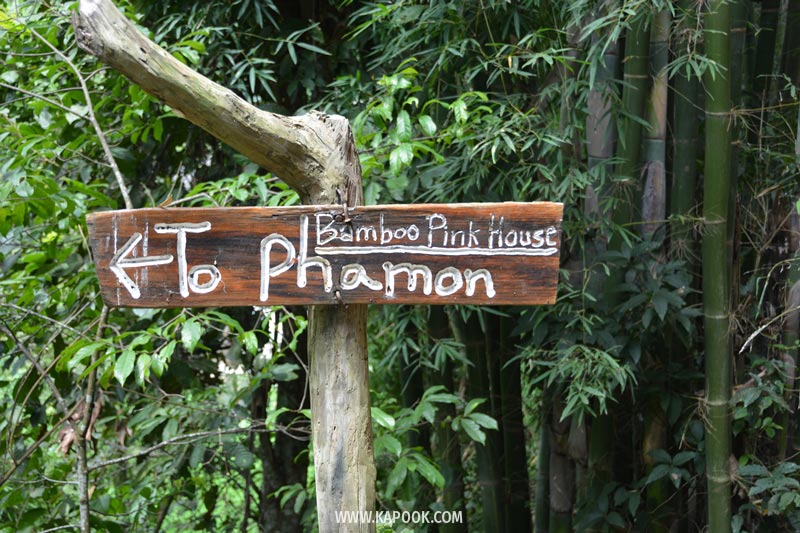 ดอยอินทนนท์ ดอยอินทนนท์