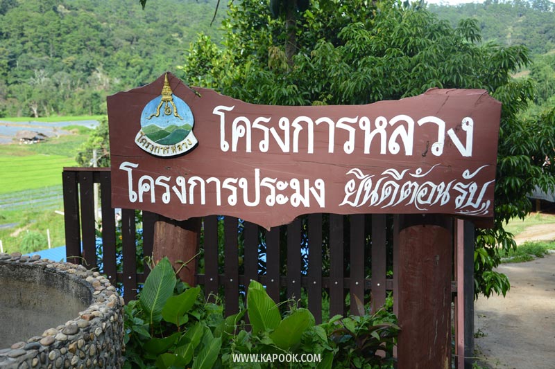 ดอยอินทนนท์ ดอยอินทนนท์
