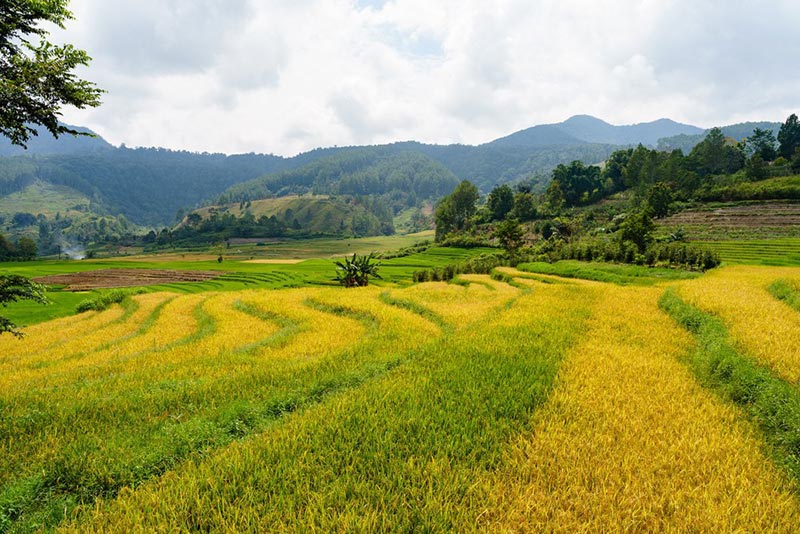 North Sumatra North Sumatra
