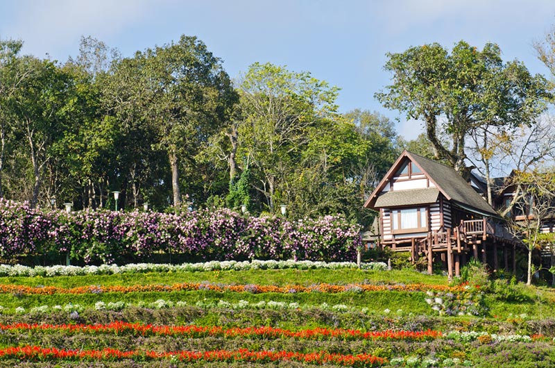 สถานที่ท่องเที่ยวเชียงใหม่ สถานที่ท่องเที่ยวเชียงใหม่
