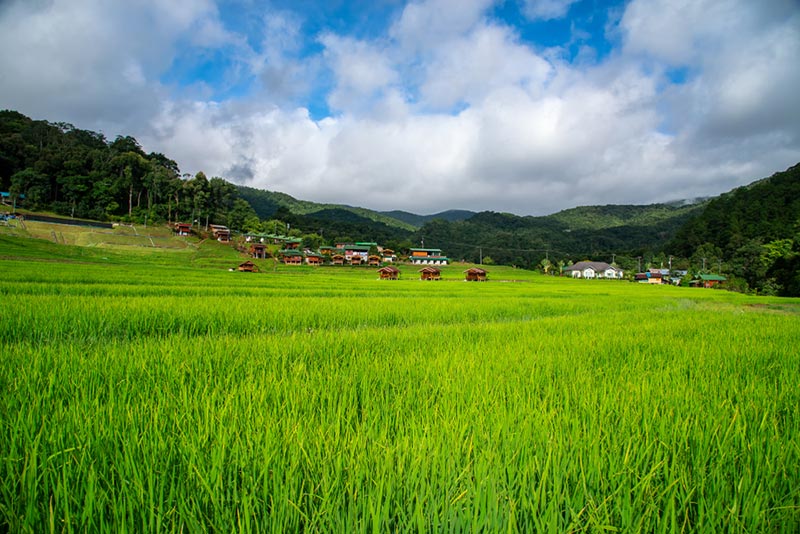 สถานที่ท่องเที่ยวเชียงใหม่ สถานที่ท่องเที่ยวเชียงใหม่