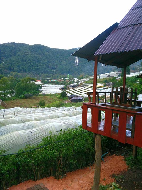 ที่พักดอยอินทนนท์ ที่พักดอยอินทนนท์