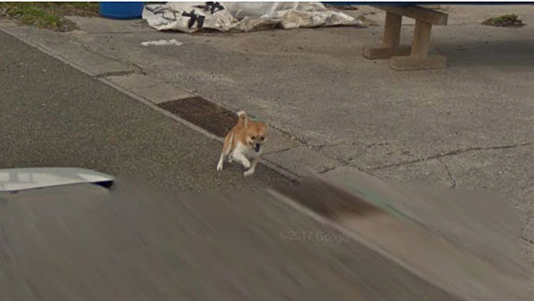 Google Street Views Google Street Views