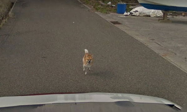 Google Street Views Google Street Views