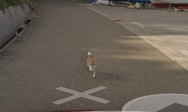 Google Street Views Google Street Views