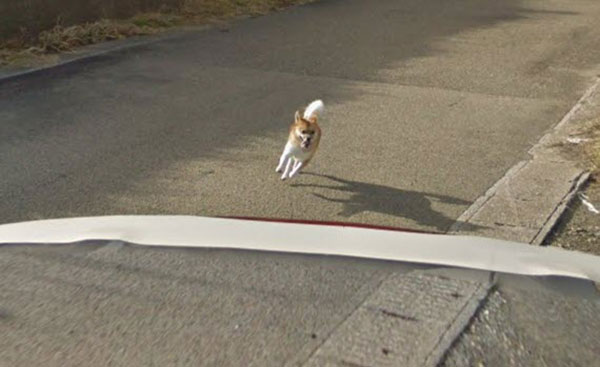 Google Street Views Google Street Views