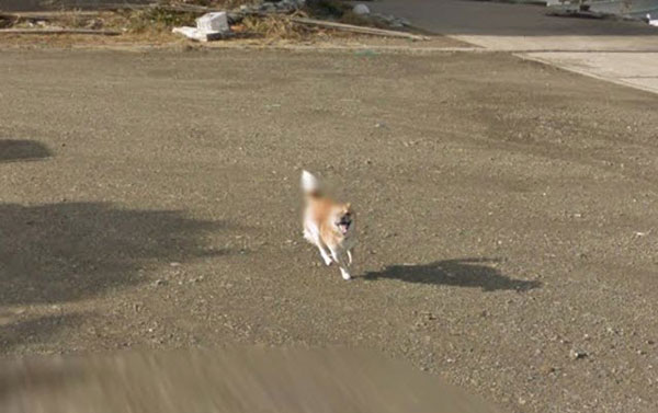 Google Street Views Google Street Views