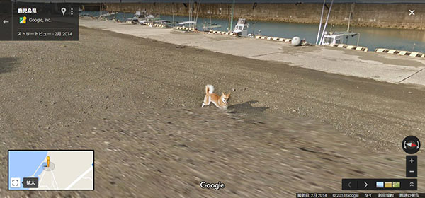 Google Street Views Google Street Views