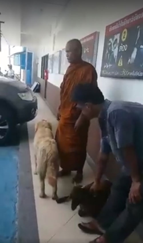 พระหนูที พระหนูที