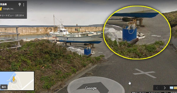 Google Street Views Google Street Views