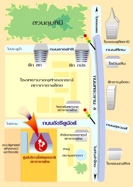 สเต็มเซลล์ สเต็มเซลล์