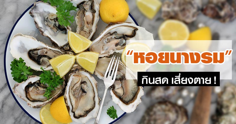 หอยนางรม หอยนางรม