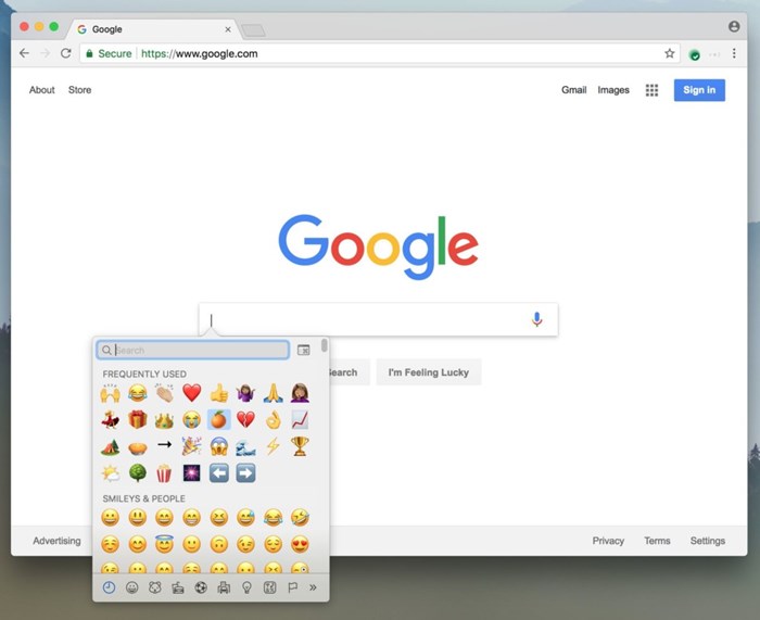 Google Chrome Google Chrome