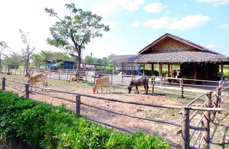 ที่เที่ยวธรรมชาติ ใกล้กรุงเทพ ที่เที่ยวธรรมชาติ ใกล้กรุงเทพ
