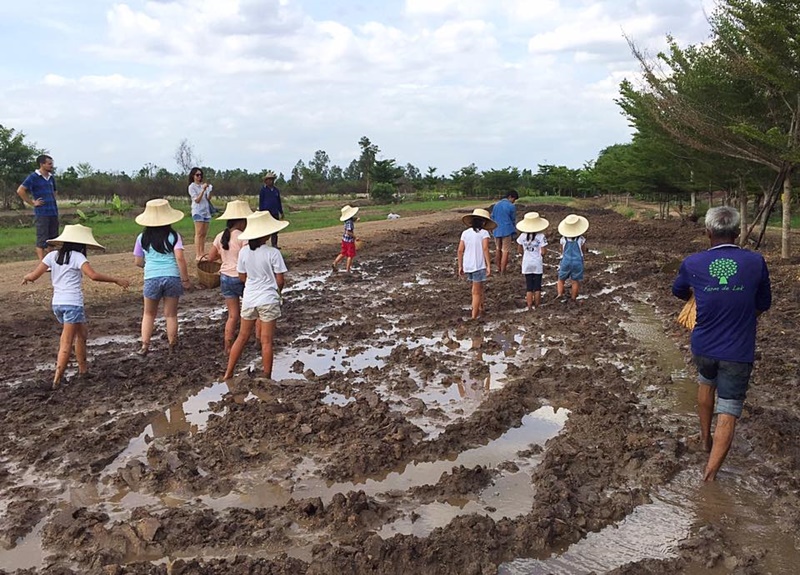 ที่เที่ยวธรรมชาติ ใกล้กรุงเทพ ที่เที่ยวธรรมชาติ ใกล้กรุงเทพ