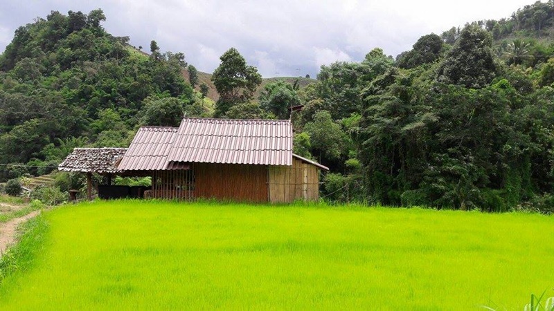 ที่พักโฮมสเตย์ เชียงใหม่ ที่พักโฮมสเตย์ เชียงใหม่