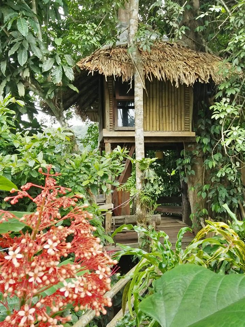 ที่พักโฮมสเตย์ เชียงใหม่ ที่พักโฮมสเตย์ เชียงใหม่
