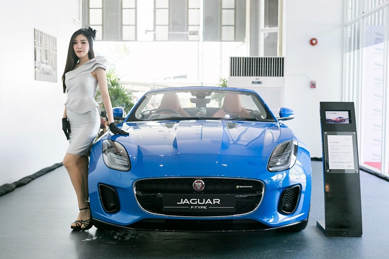 jaguar jaguar