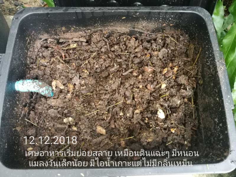 ทำปุ๋ยหมักจากเศษอาหาร ทำปุ๋ยหมักจากเศษอาหาร