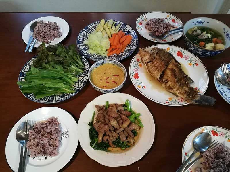 ทำปุ๋ยหมักจากเศษอาหาร ทำปุ๋ยหมักจากเศษอาหาร