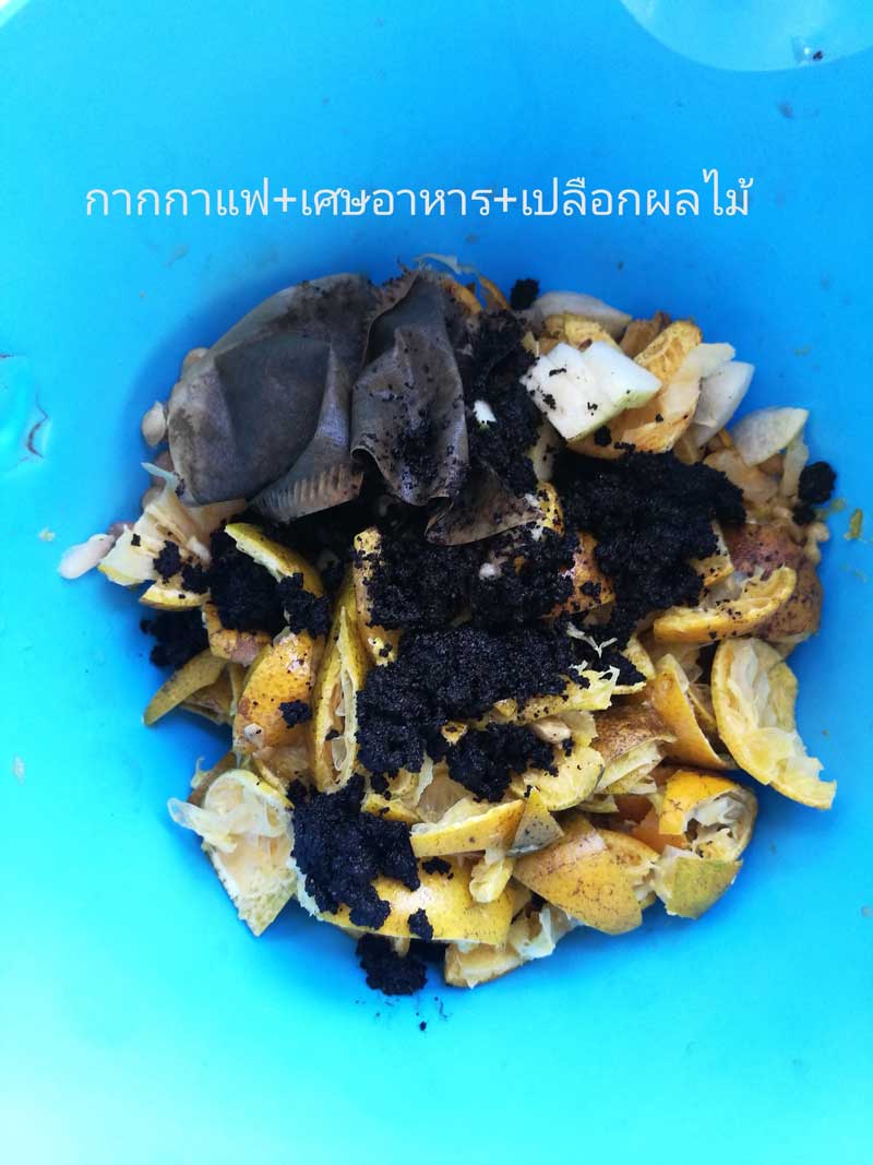 ทำปุ๋ยหมักจากเศษอาหาร ทำปุ๋ยหมักจากเศษอาหาร