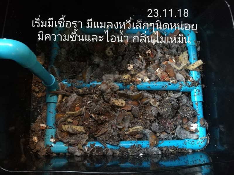 ทำปุ๋ยหมักจากเศษอาหาร ทำปุ๋ยหมักจากเศษอาหาร